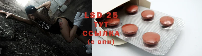 купить закладку  Губкин  Лсд 25 экстази ecstasy 